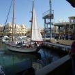 Harbour City, Benalm&aacute;dena