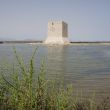 Santa Pola. De Torre Tamarit midden in de zoutpannen