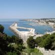 Panaramo bove<span class=