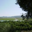 Butrint. Gezicht op de moerasvlakte waar ooit een lang aquaduct liep <span class=