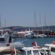 Marina &Ccedil;anakkale. Dulce is de tweede van rechts, naast Kiara. Souris Rose ligt links