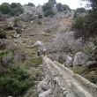 We steken in de bergen boven Kroustas via een oude waterloop een bergbeek over