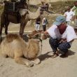 G&ouml;reme. Ans en het kamelenjong. Liefde op het eerste gezicht