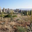 Rotsfallussen in Love Valley, Cappadoci&euml;
