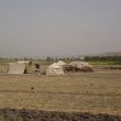 Bedou&iuml;enententen in de vlakte van Al Ghab