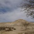 De ru&iuml;nes van de oude, Nabatese stad Avdat in de Negev-woestijn
