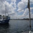 Suezkanaal vanaf onze ligplaats in Port Fouad Yacht Centre. Canal Authority aan de overkant