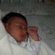 Baby Vaj&egrave;n, bijna twee weken oud.