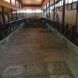 Laat-romeinse moza&iuml;eken in Paleo Paphos (2)