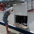 Porto di Teulada. Verse vis kopen bij een visser in de haven