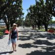 Viana do Cast&eacute;lo. De schaduwrijke boulevard langs de haven