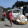 &Icirc;le d'Yeux. Rondrit met Le Petit Train over het eiland