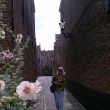 Middelburg. E&eacute;n van de vele mooie steegjes.