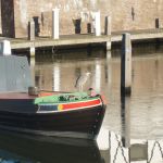 Onze gevederde wintergast kijkt wat beteuterd naar het ijsvloertje in de haven.