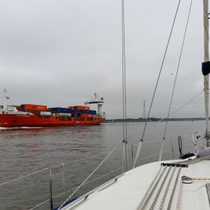 11 juni 2021. In de Dordtse Kil.