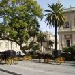 Sevilla. Koetsjes op de Avda. de la Constituc&iacute;on