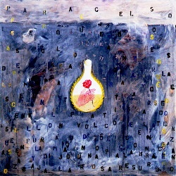 De Roos van Paracelsus. Kunstenaar onbekend