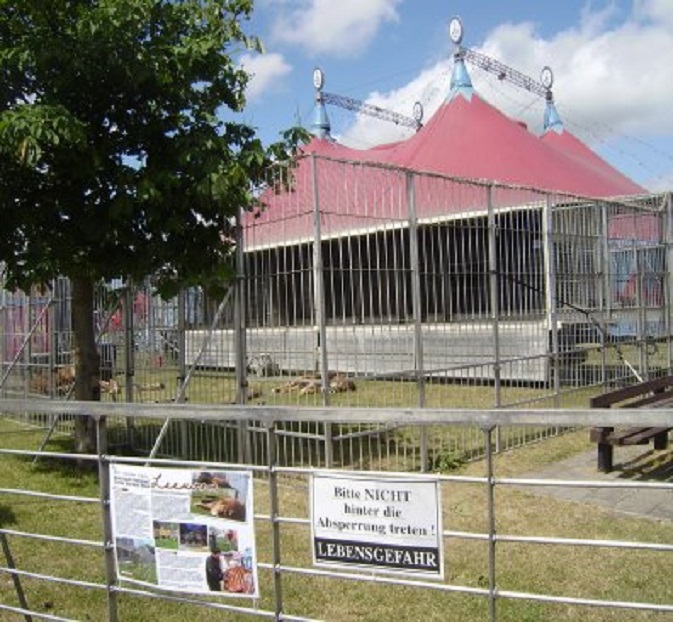 De leeuwenkooi van Circus Renz op Buiten de Waterpoort. Op de achtergrond liggen ze te slapen