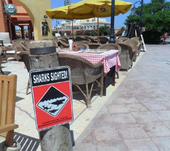 Waarschuwing voor haaien bij een terras op de marina-boulevard