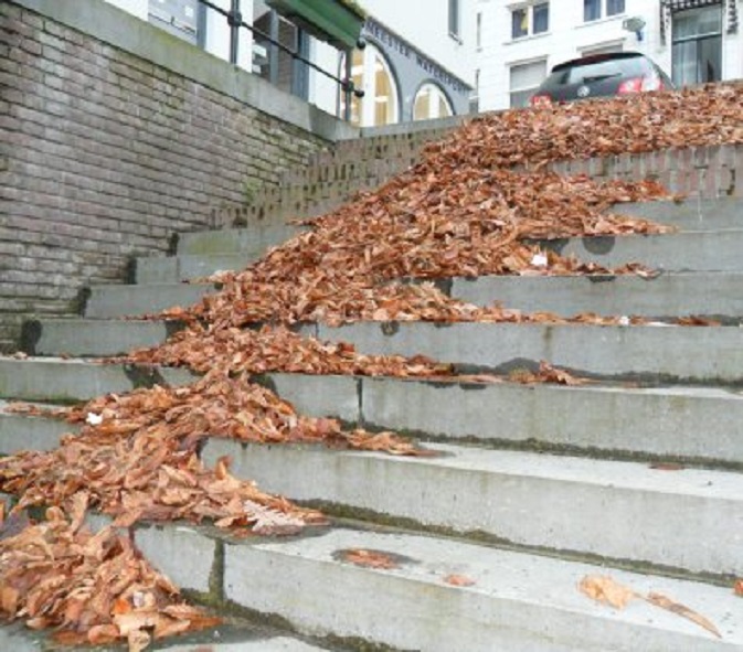 Tussen de buien door in de Lingehaven