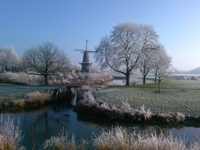 Van de week op de Altenawal.