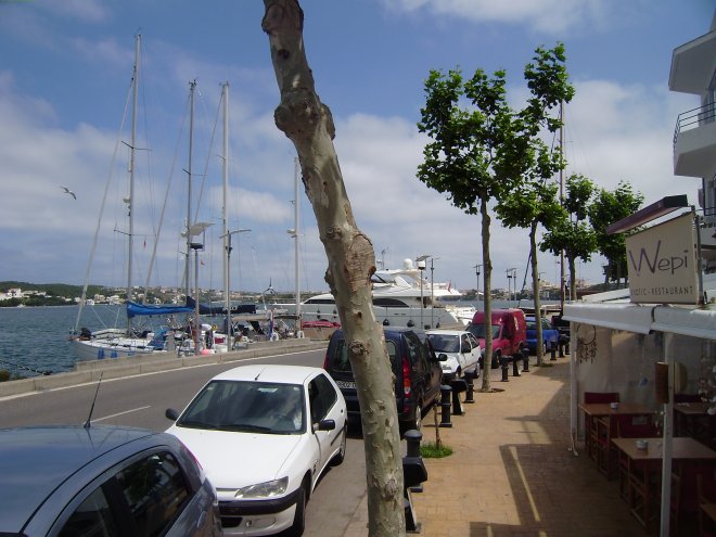 Tweede boot van links is onze Dulce, afgemeerd aan de levendige havenkade bij de motorjachtenfirma Sunseeker in Mahón.