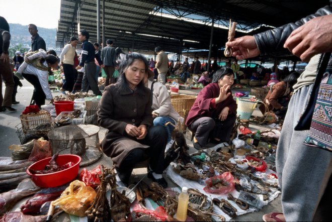 Markt in China waar vlees van wilde dieren wordt verkocht ()bron: Light Rocket via Getty Images)