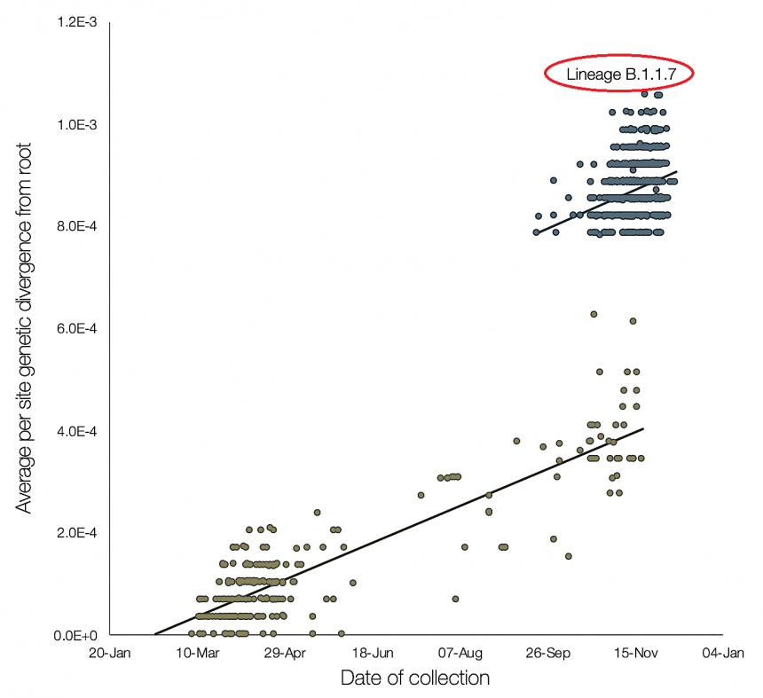 De nieuwe variant B.1.1.7. van het coronavirus in een Britse studie (bron: virological.org)