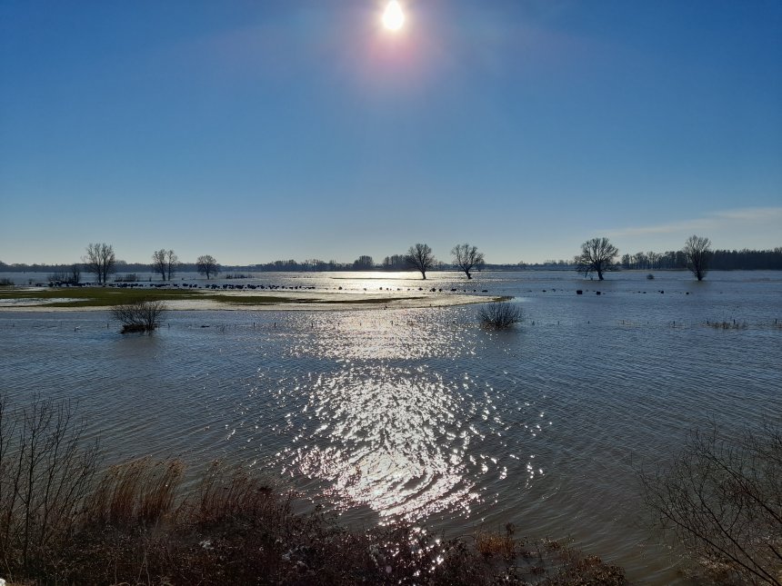 Het water zakt weer in de Merwede. Fot richting Woudrichem. Geleidelijk lopen de uiterwaarden leeg.