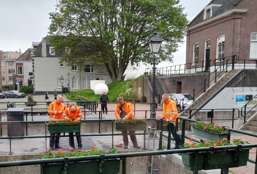 Mannen van de groendienst hangen de bakken met geraniums op,