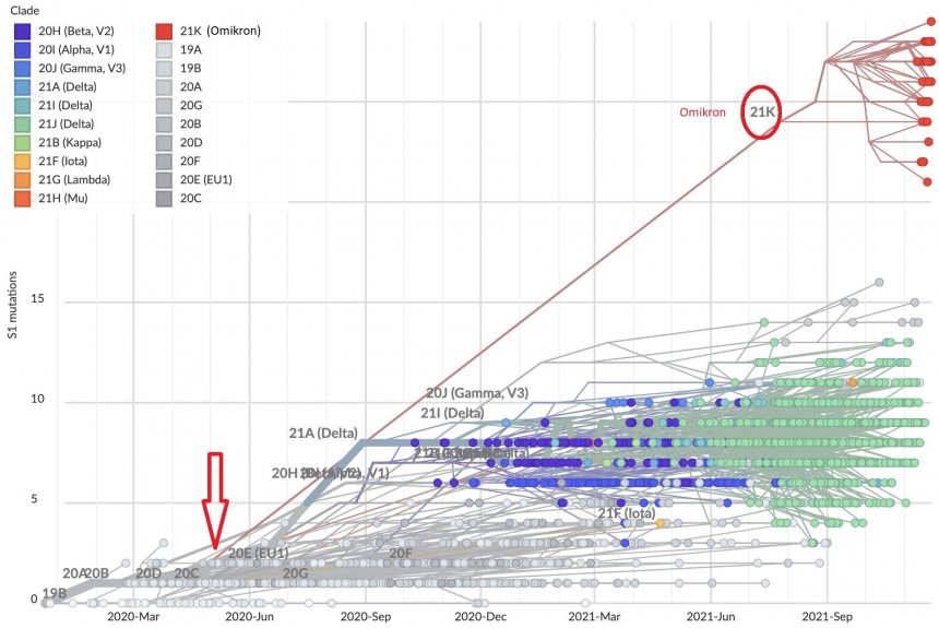 De omikron-variant (21K) ontstond al 1,5 jaar geleden. Zie rode pijl  (Bron: https://nextstrain.org/ncov/gisaid/africa?l=scatter&scatterY=S1_mutations)