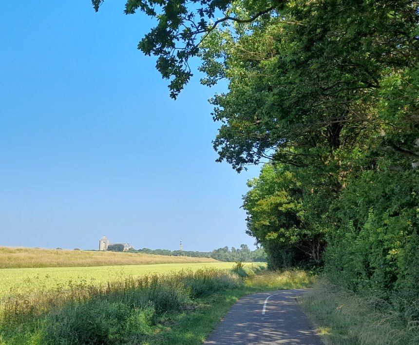 Boven het graan en de dijk erachter zie je de torens van de Grote Kerk en van het stadhuis.