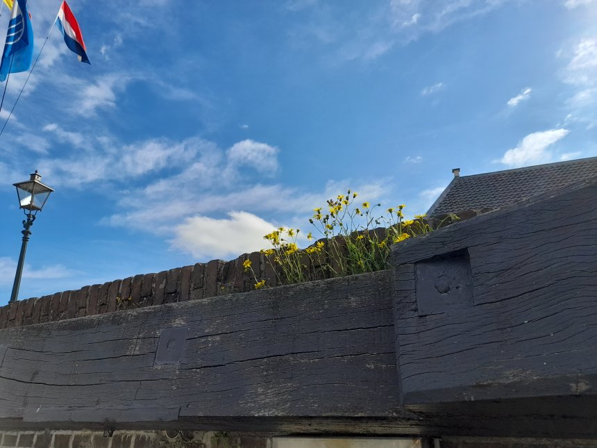 De havenmuur in Veere, naast onze boot. Vanochtend is er nog zon.,