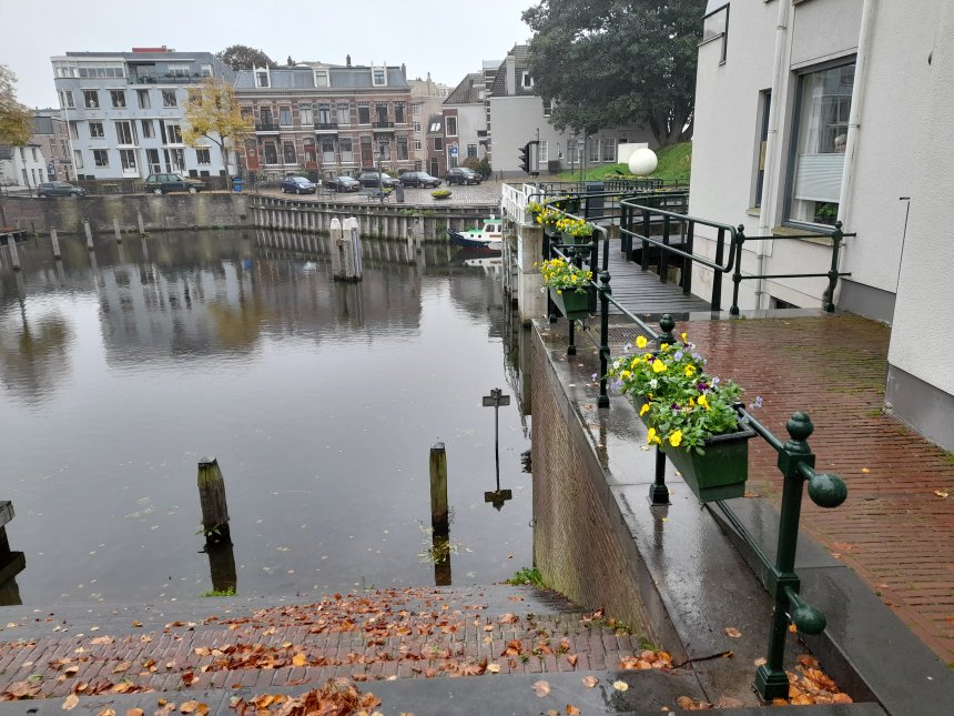 Herfst. De bloembakken met de winterviolen. Wie goed kijkt ziet Anna achter ons raam.