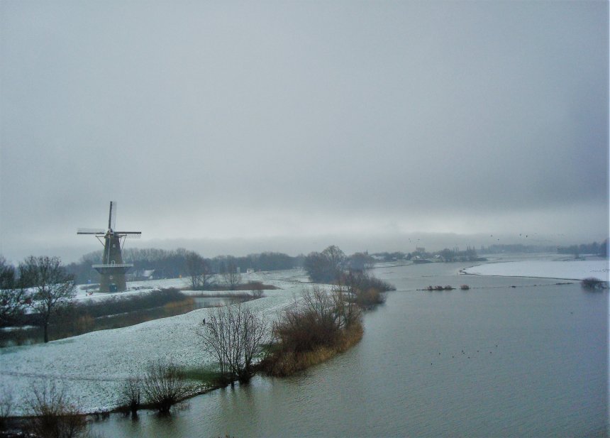 Ondergelopen uiterwaard bij Gorcum (de Merwede zelf ligt rechts, niet op de foto)   Foto: Annet Ardesch