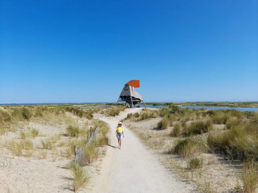 Marker Wadden met een van de vogelobservatiehutten..