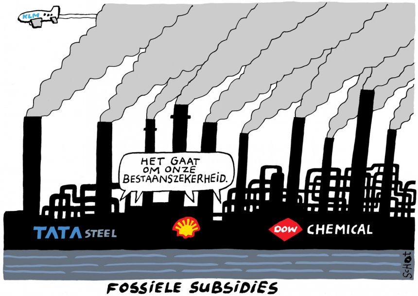 Bas van der Schot, De Volkskrant