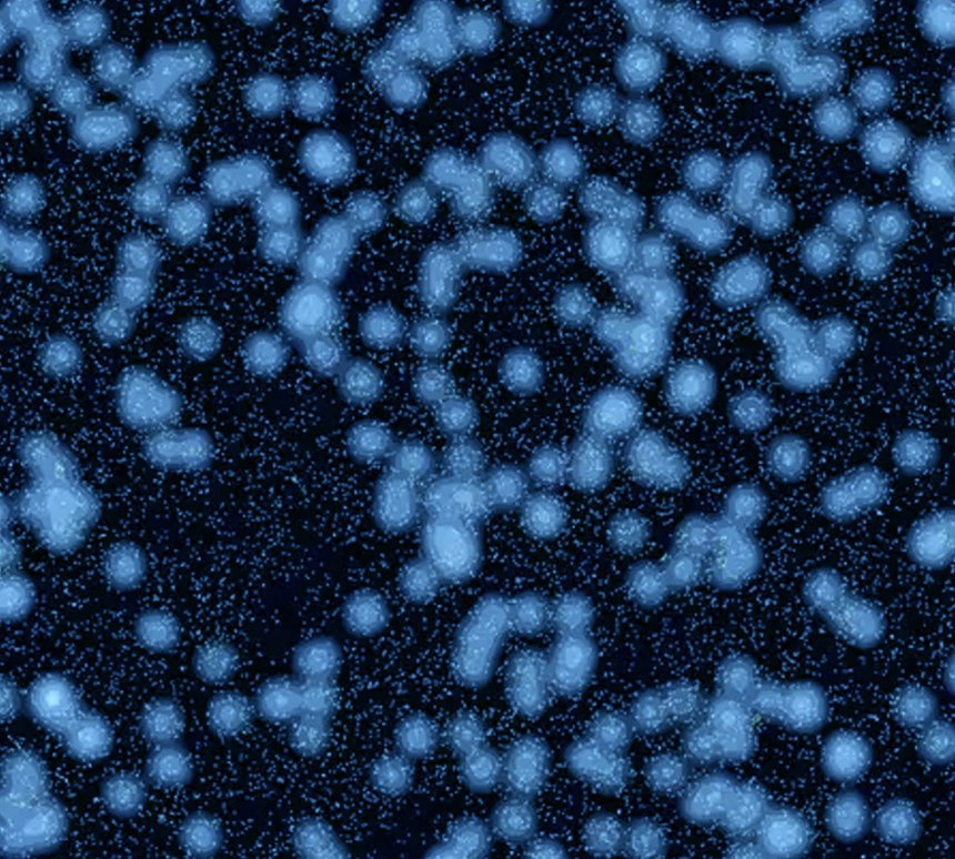 Zoek de ‘Big Ring’, iets boven het midden. De kleine spikkeltjes zijn verre quasars; de grotere lichtvlekken markeren de plekken waar zich veel voorgrondsterrenstelsels bevinden. (Beeld Alexia Lopez/De Volkskrant)