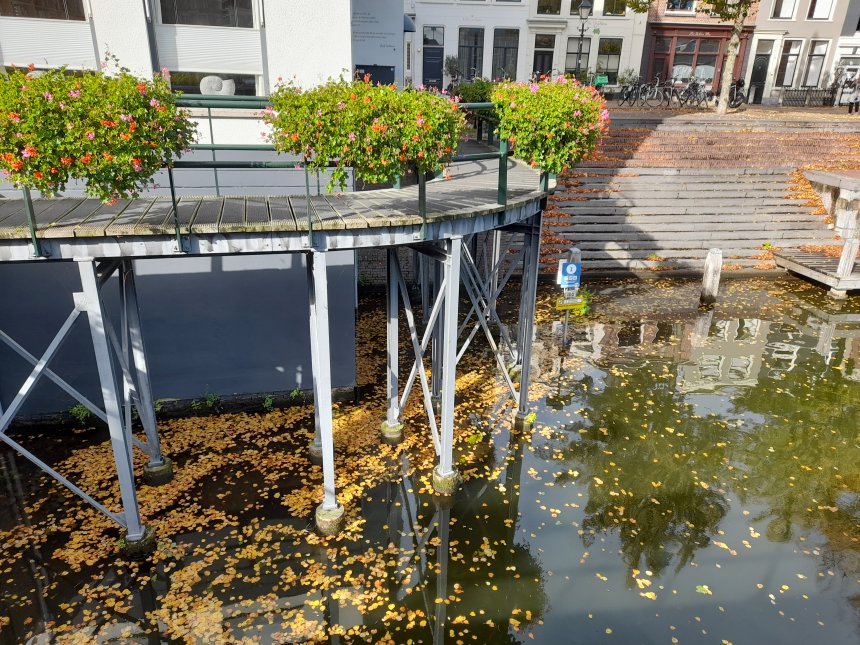 Herfst bij ons huis aan de Lingehaven. In de bloembakken bloeien de geraniums nog.