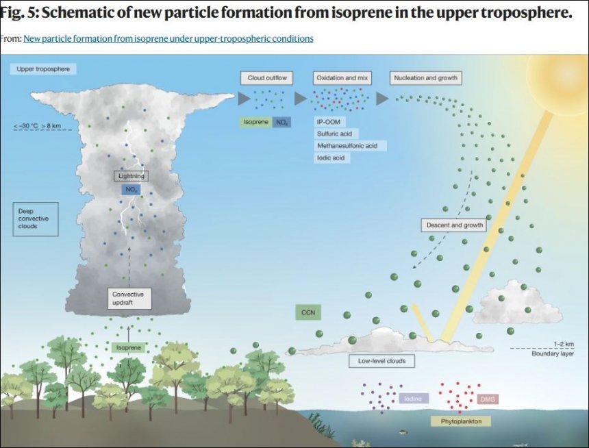 Afbeelding uit besproken artikel in Nature.